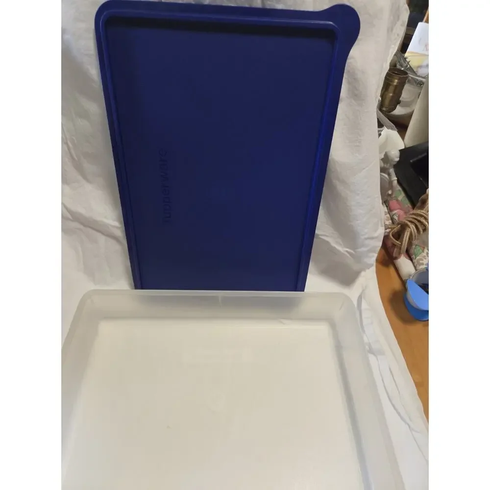 Tupperware Rectangular Clear Storage Container With Blue Lid 14x9 3